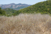DSC03776