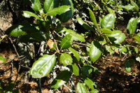 DSC03777