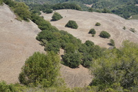 DSC03778