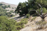 DSC03780