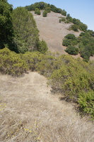 DSC03781