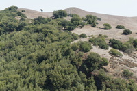 DSC03785