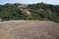 DSC03787