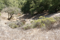 DSC03788