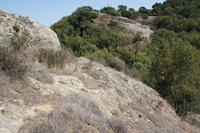 DSC03790