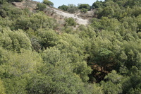 DSC03795