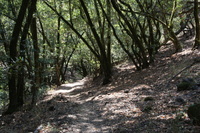 DSC03796