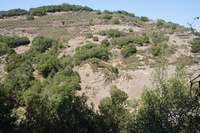 DSC03800