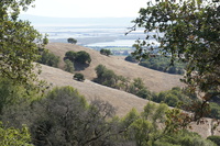 DSC03804