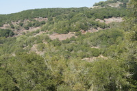 DSC03805