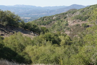DSC03807