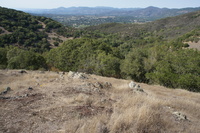 DSC03809