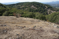 DSC03813