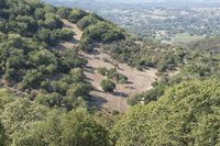 DSC03814