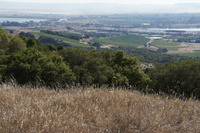 DSC03819
