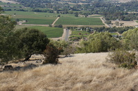 DSC03825