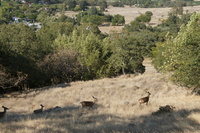 DSC03830