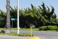 DSC03850