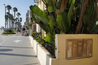 DSC03857