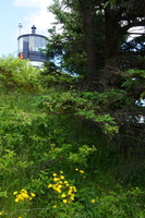 DSC04417