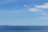 DSC04423