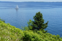 DSC04425