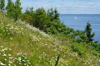 DSC04429