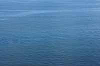 DSC04437