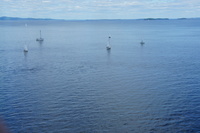 DSC04445