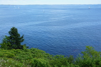 DSC04455